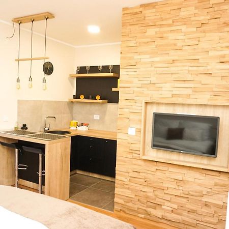 Central Palace Apartmani - Pupinova Palata Novi Sad Dış mekan fotoğraf