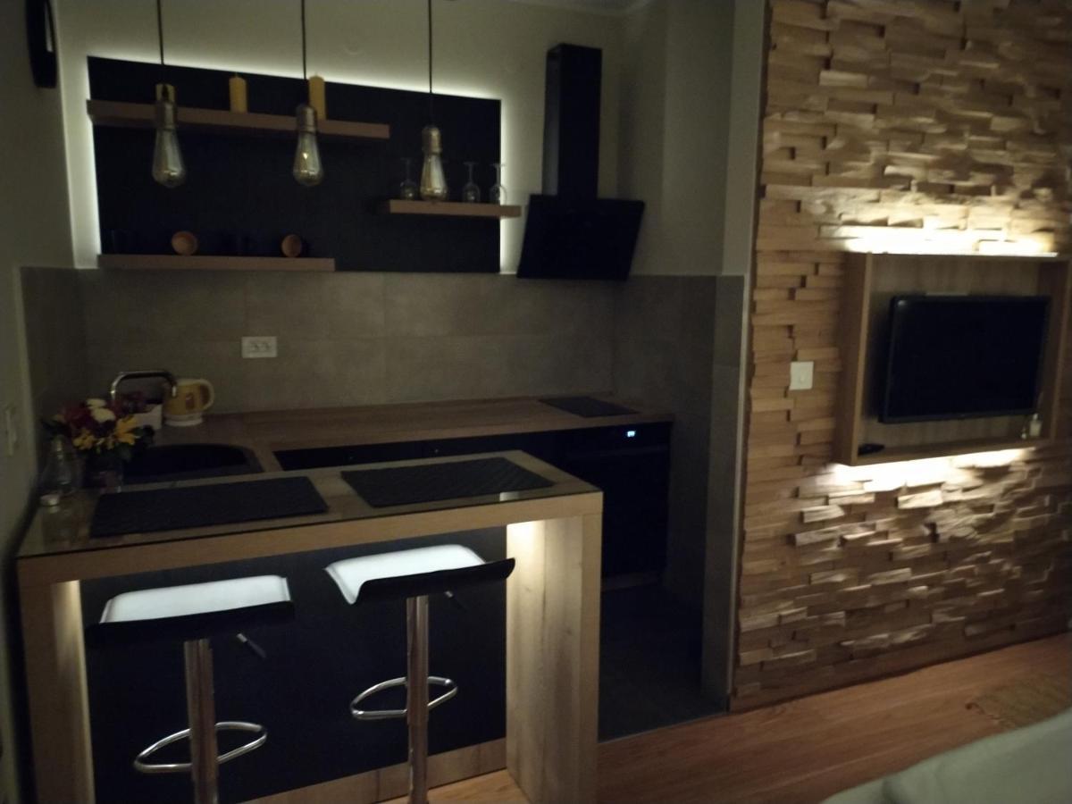 Central Palace Apartmani - Pupinova Palata Novi Sad Dış mekan fotoğraf