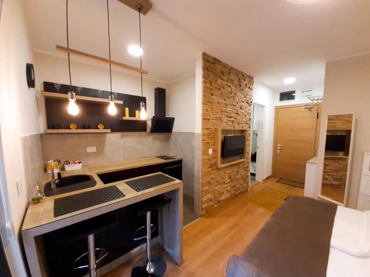 Central Palace Apartmani - Pupinova Palata Novi Sad Dış mekan fotoğraf