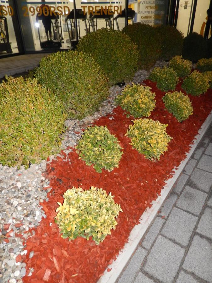 Central Palace Apartmani - Pupinova Palata Novi Sad Dış mekan fotoğraf