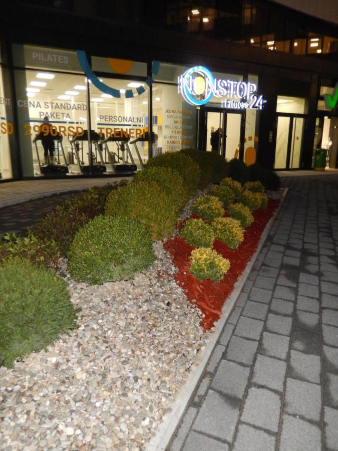 Central Palace Apartmani - Pupinova Palata Novi Sad Dış mekan fotoğraf